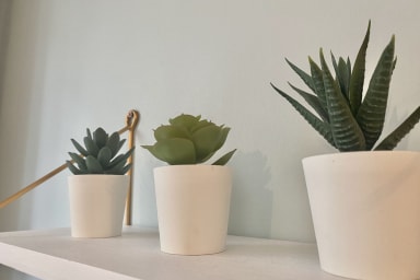 Décoration dans le salon 