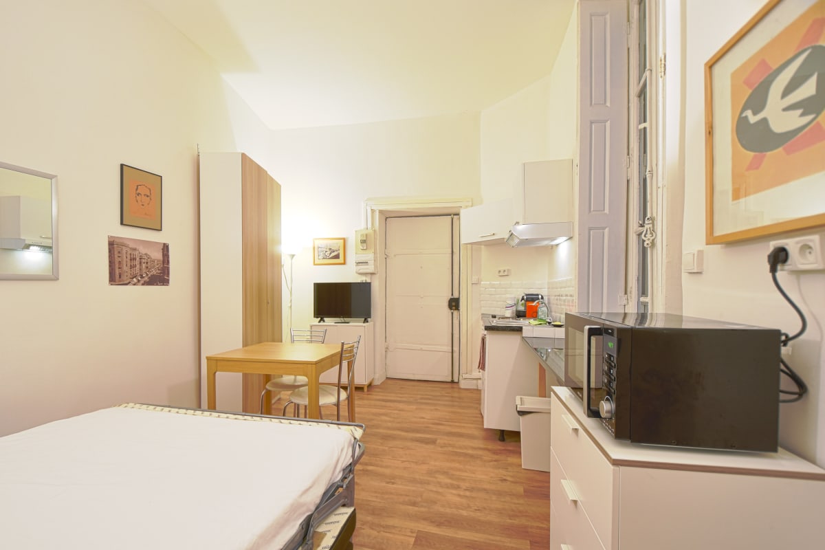Appartement Studio Calme Au Centre De Lyon 