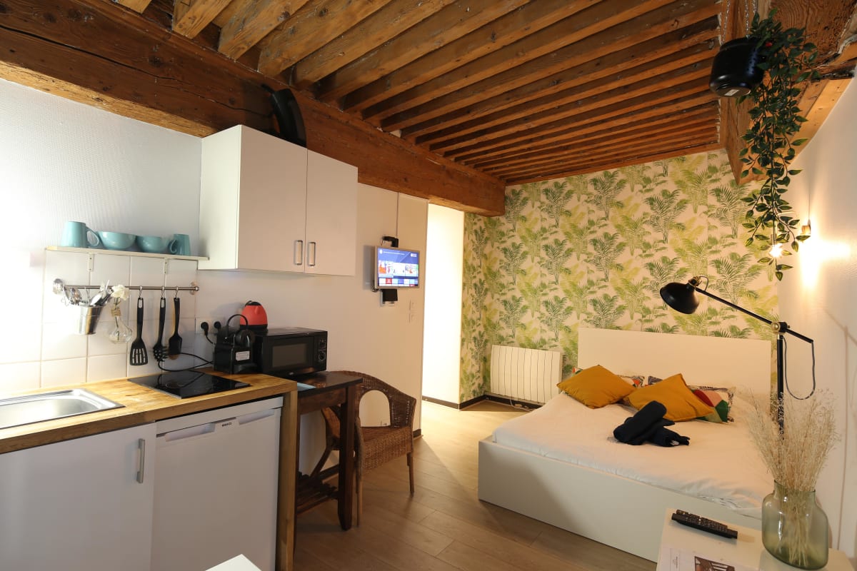 Studio Typique Au Coeur De Lyon à Lyon — HostnFly