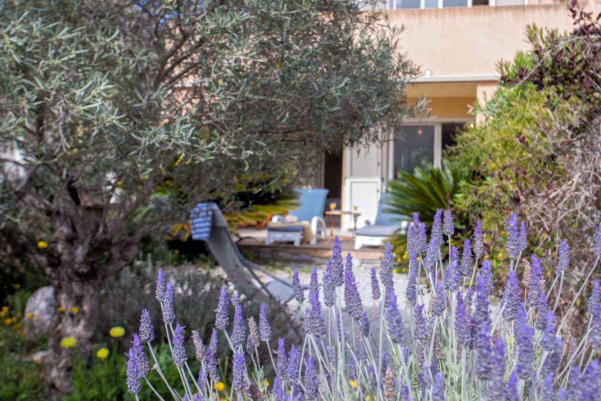  Appartement Casa Linda Appart climatisé avec jardin a 900m  plage et centre ville Calvi