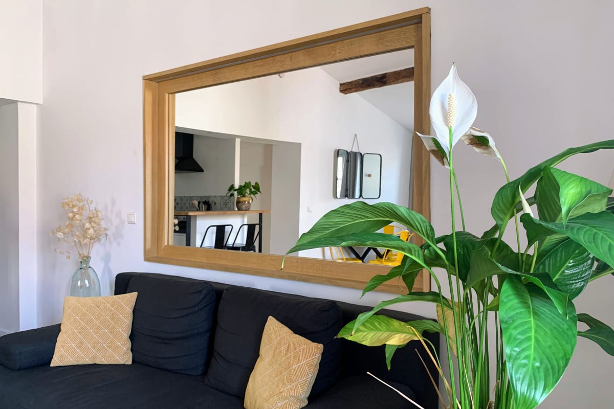  immobilier Appartement