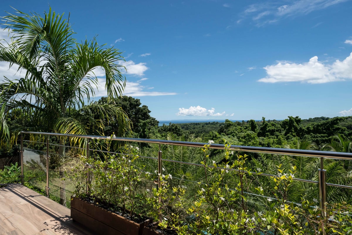 Immobilier Villa Te Amo  