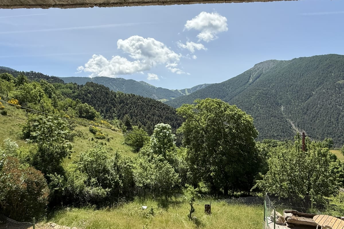 Appartement   Bel appartement au coeur de la nature avec jardin