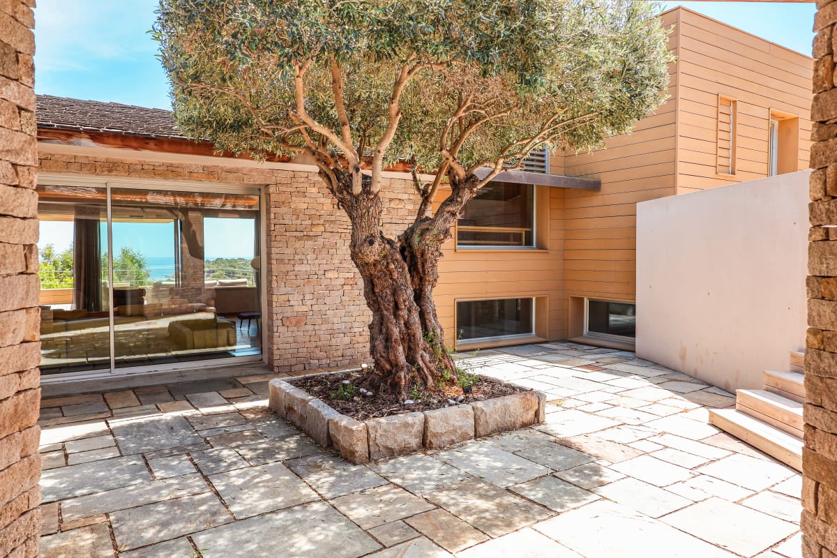 Immobilier Villa Terra di Palombaggia  