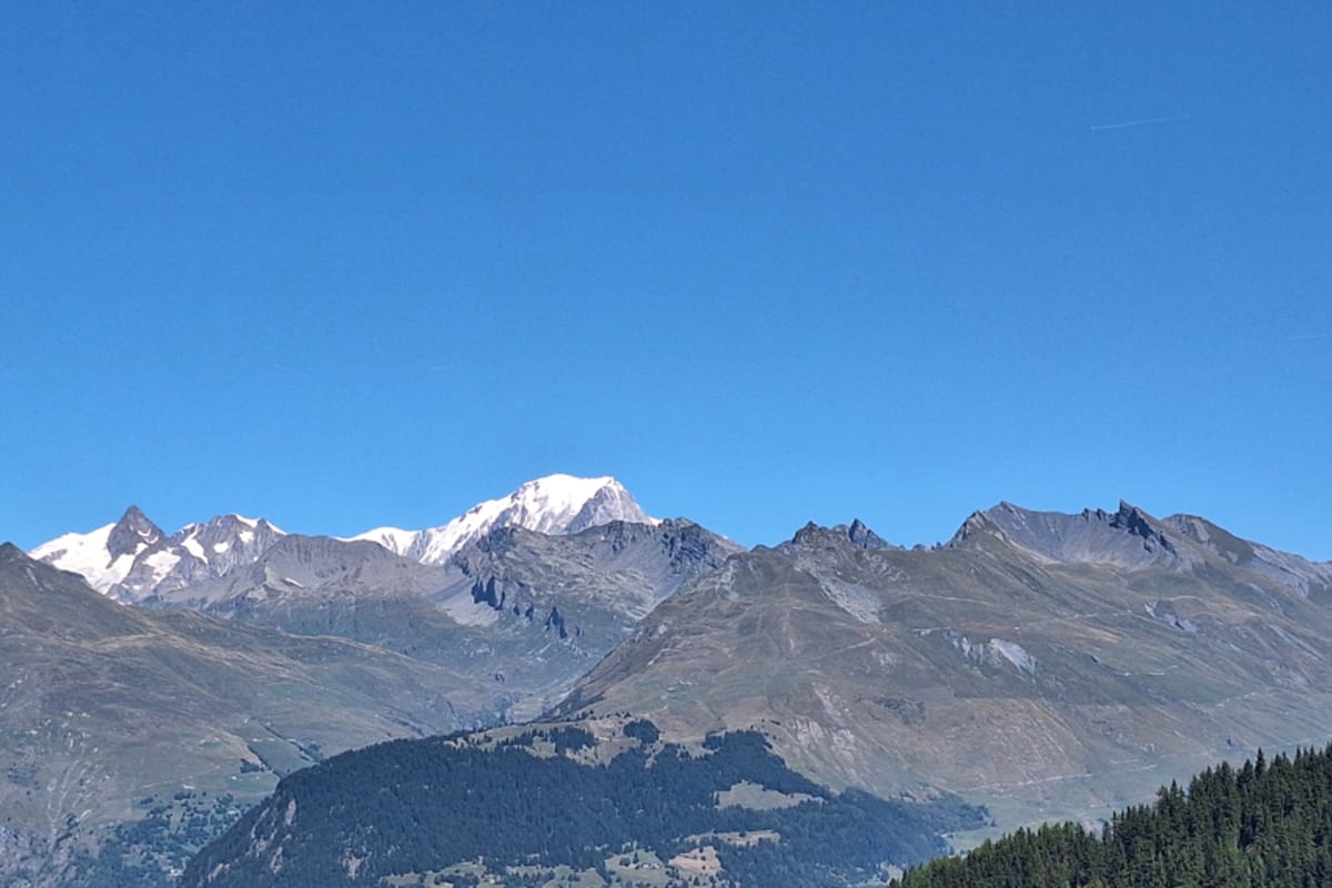  immobilier Appartement
