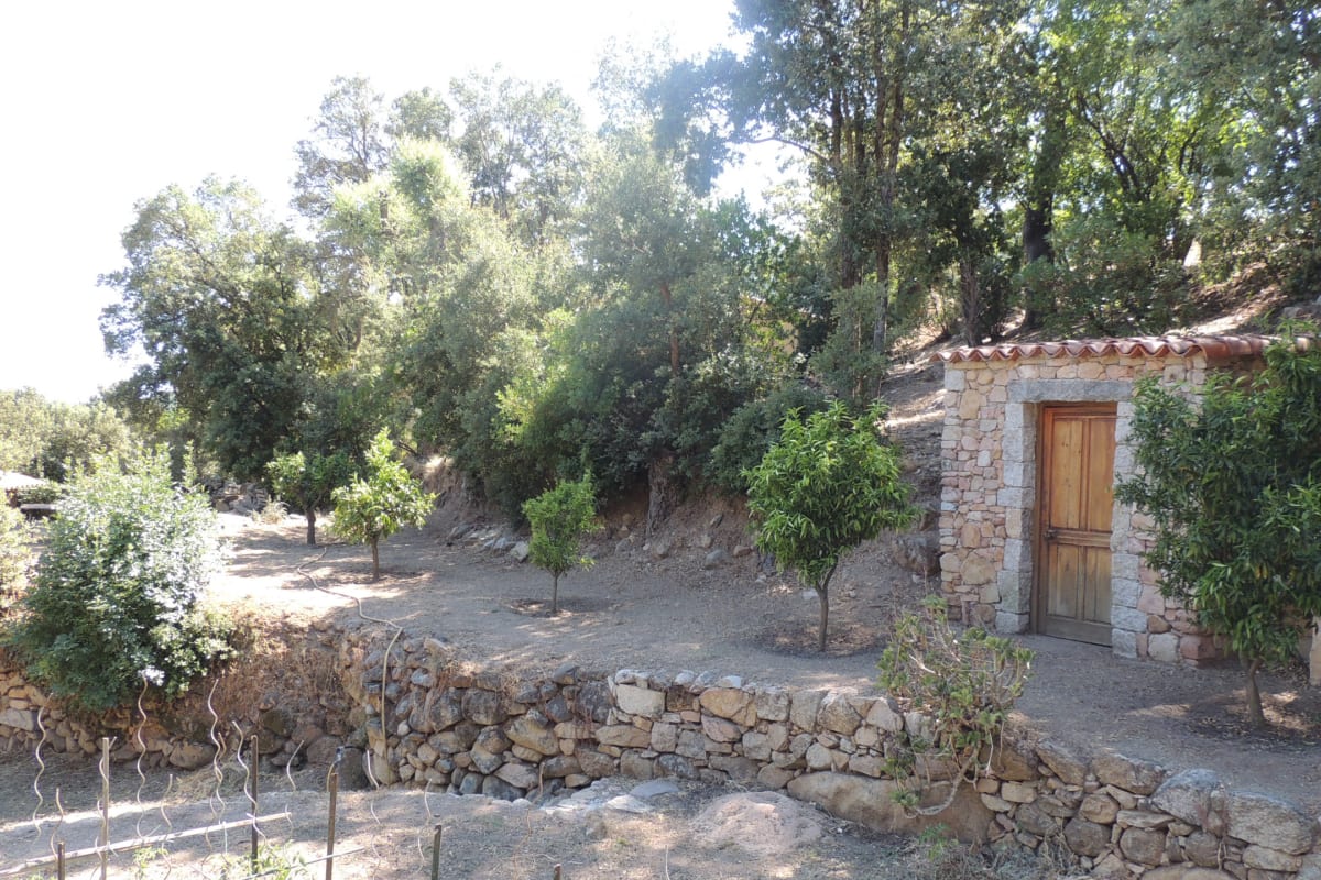  immobilier  L'Ortu Di Pisettu -2