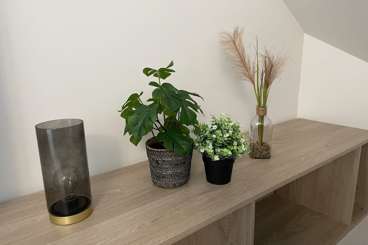  immobilier Appartement