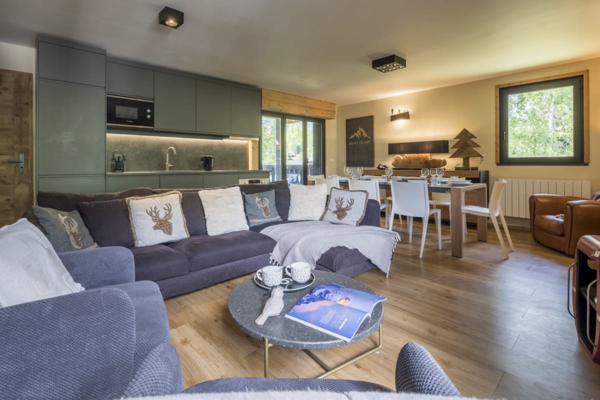 Appartement   Superbe apt vue Mont-Blanc avec balcons