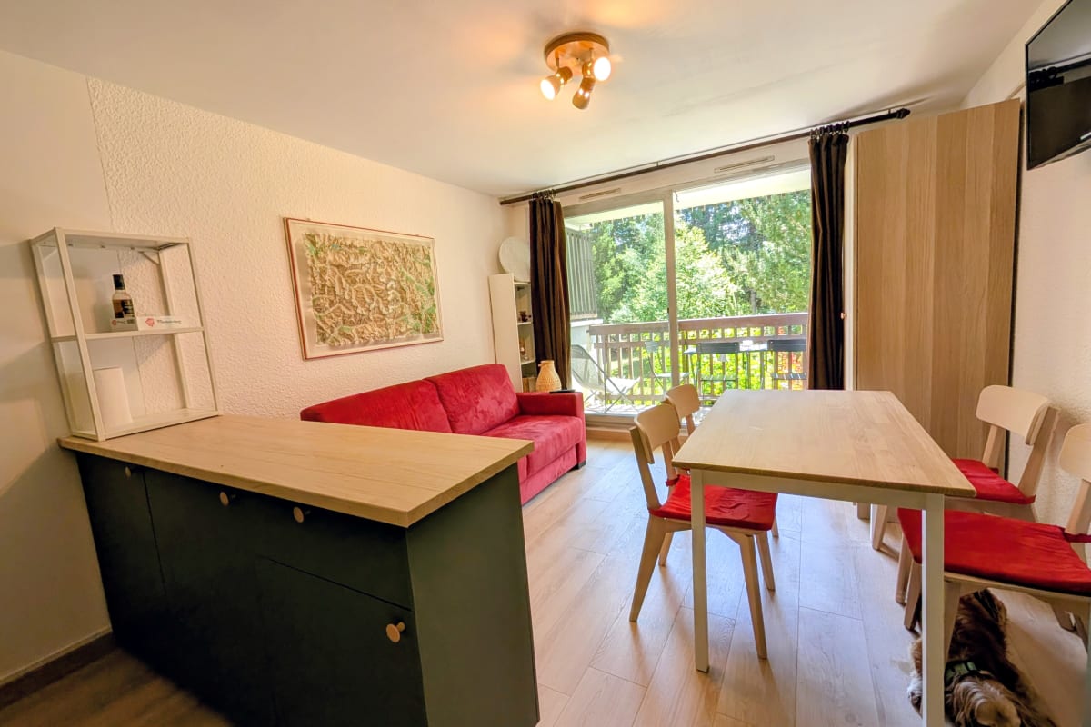  Appartement Studio tout confort au pied des pistes de ski
