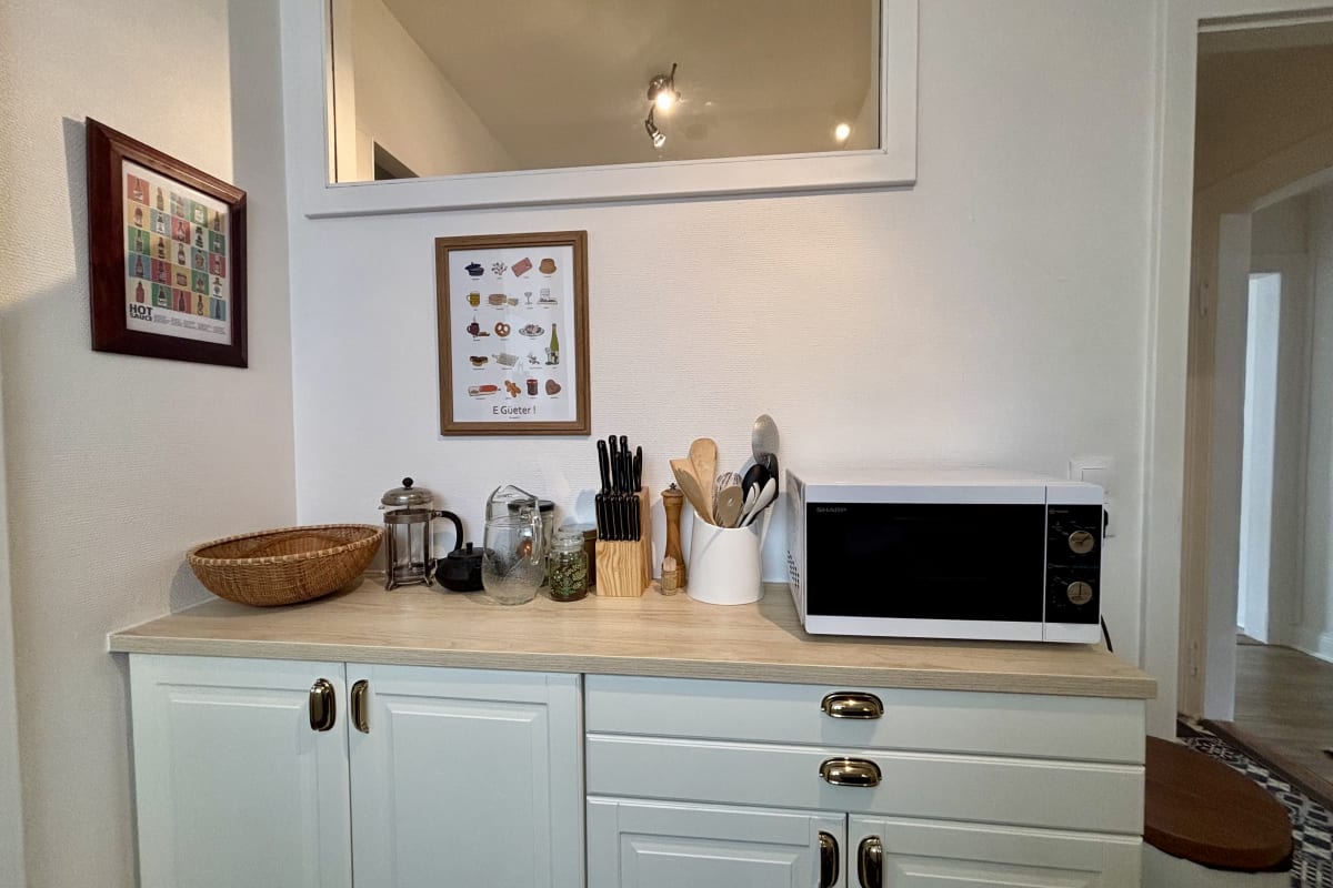 Appartement   Grand appart lumineux avec garage à Schiltigheim