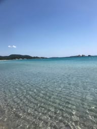 Plage de Saint Cyprien à 10min