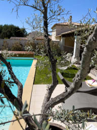 oliviers et piscine plein sud