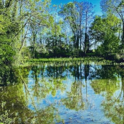 Etang