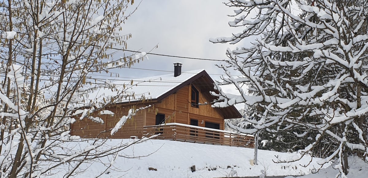  immobilier Chalet
