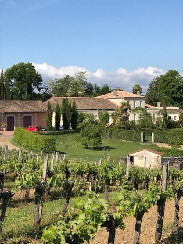  Manoir - château Château La Tuilière, maison du XIXe au milieu de son vignoble