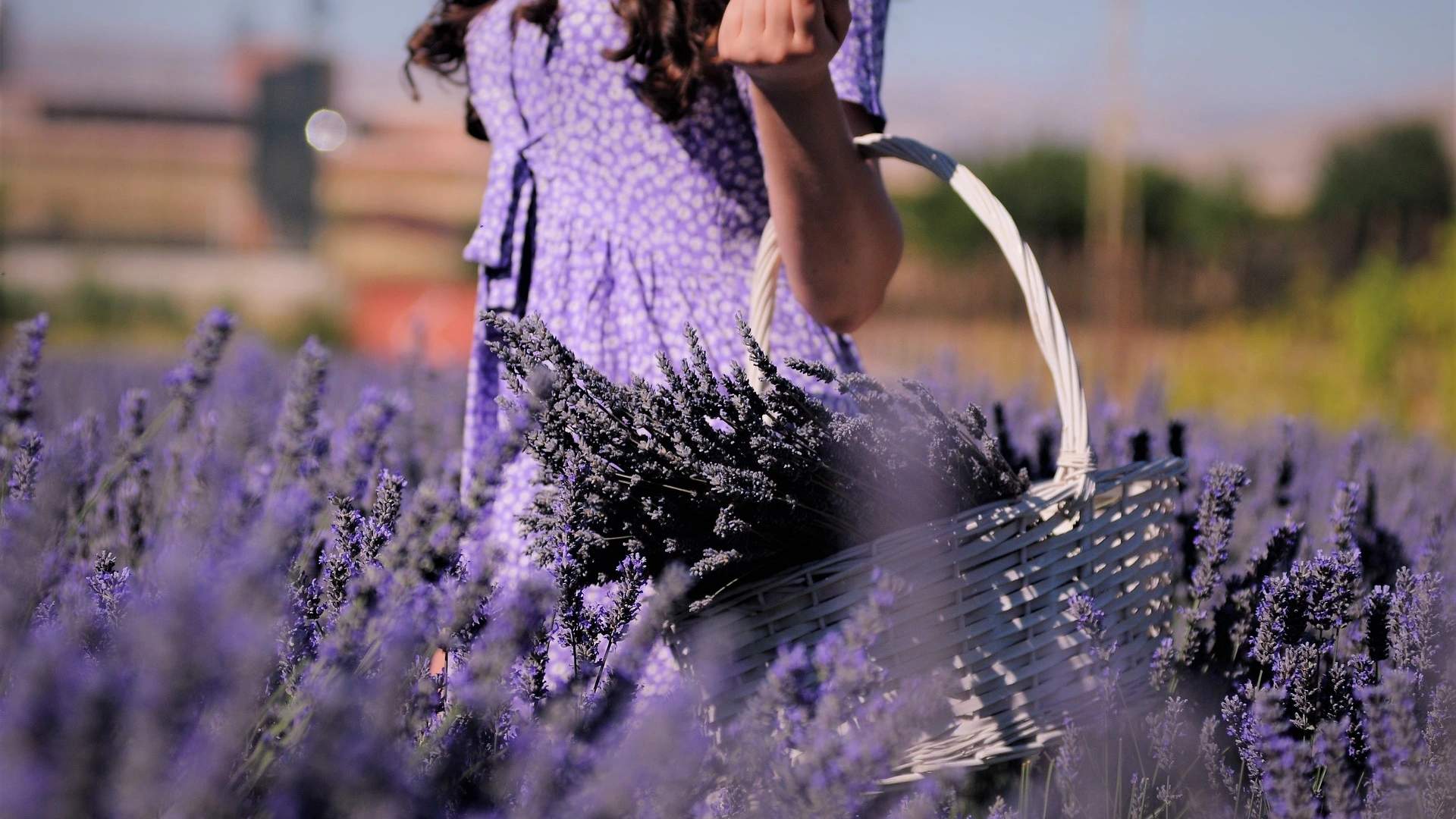 Le Luberon