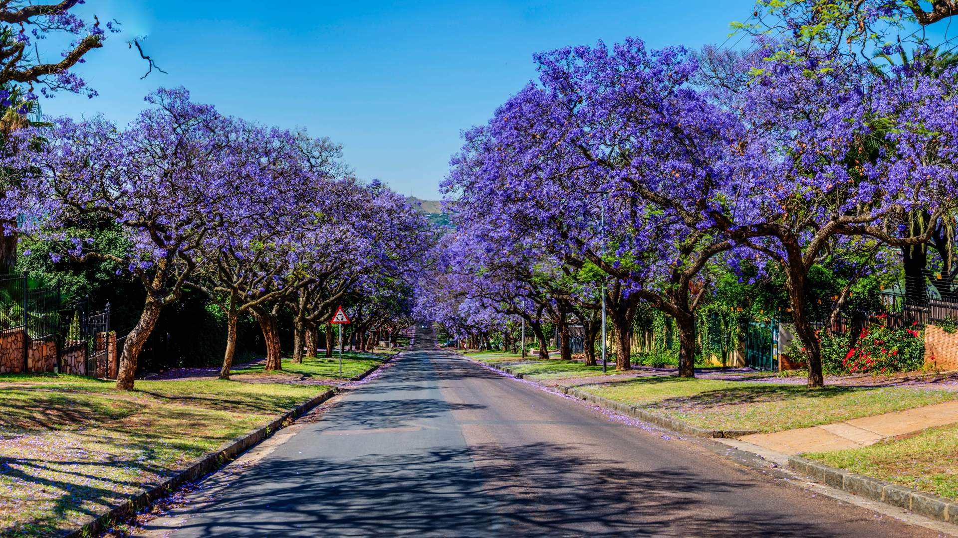 Eastern Adelaide Suburbs