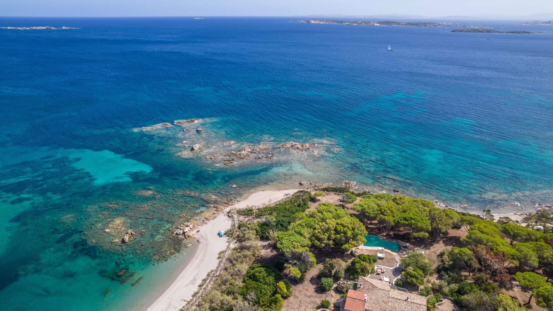Bonifacio