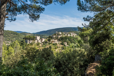 Magnificent stone house to rent with heated swimming pool in Provence