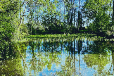 Etang