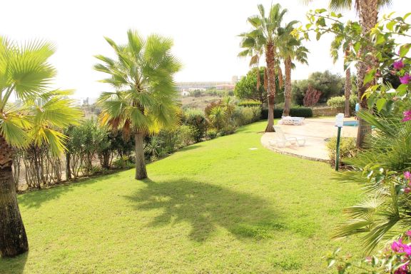 Rouquet - Meia Praia