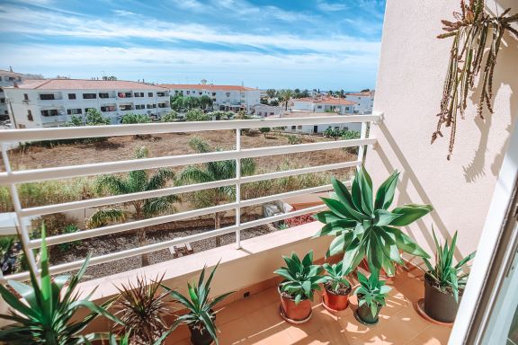 Plant Paradise Apartment
