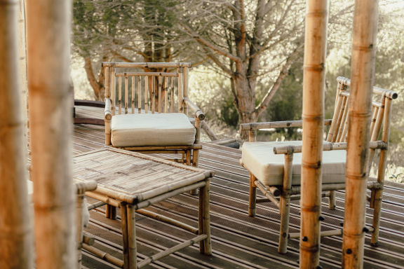 The Lemon Lodge - Mogadazu