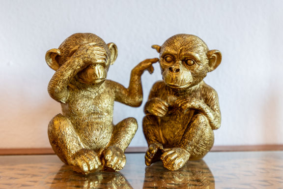 Casa Monkey Business
