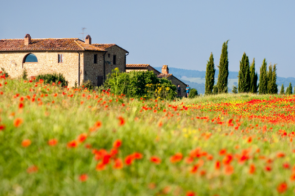 In the countryside