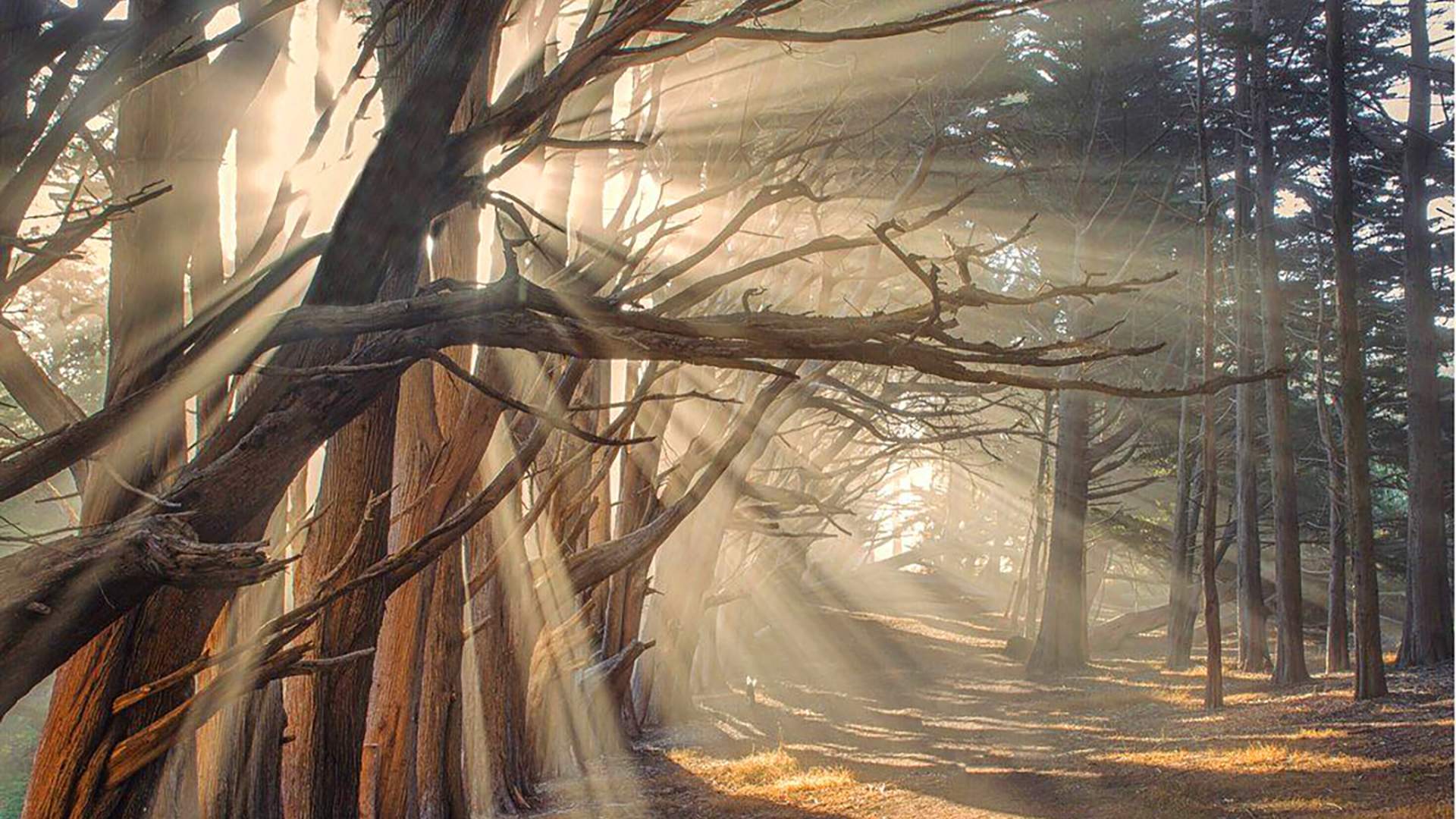 Moss Beach California