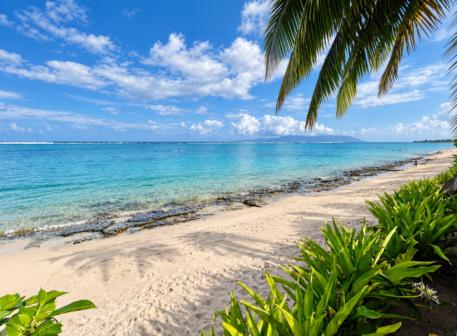 Paysage de Tahiti