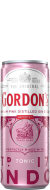 Gordon's Pink Gin & ...