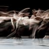 Royal Ballet Flanders in William Forsythe's Artifact