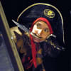The Pirate Project