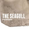 The Seagull at Derby Theatre
