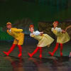 Dancing ducklings - Benjamin Mitchell, Ayana Kanda, Teresa Saavedra-Bordes and Isabella Gasparini