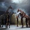 War Horse at the Festival Theatre