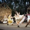 Seven Brides for Seven Brothers