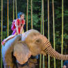 Ava Potter as Lilly with Oona the elephant