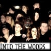 Into the Woods