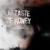 A Taste of Honey at Oldham Coliseum