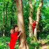 “Innovative and inclusive” outdoor arts programme: Wonder Woods