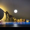 Alvin Ailey American Dance Theater in Jessica Lang's EN