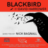 Blackbird