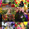 Women in Lockdown: sharing views of ordinary women