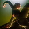 Richard Chappell Dance's Infinite Ways Home