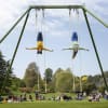The Swings