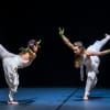 The cast of The Rite of Spring