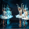 Swan Lake