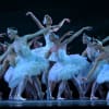 The State Ballet of Georgia corps de ballet